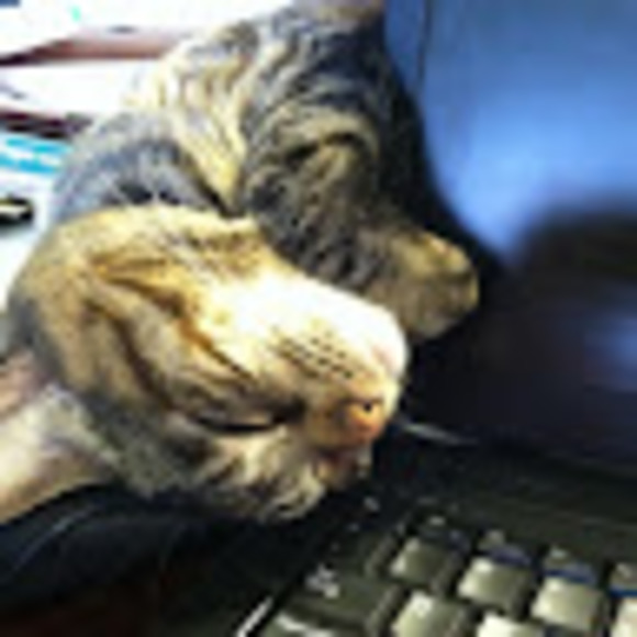 Meet your Posher, Cynthia - Picture 1 of 1